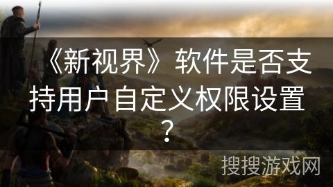 《新视界》软件是否支持用户自定义权限设置？