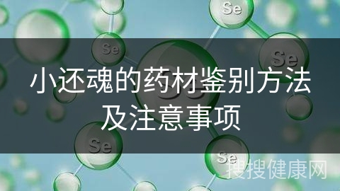 小还魂的药材鉴别方法及注意事项