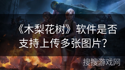 《木梨花树》软件是否支持上传多张图片？