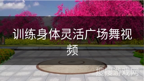 训练身体灵活广场舞视频