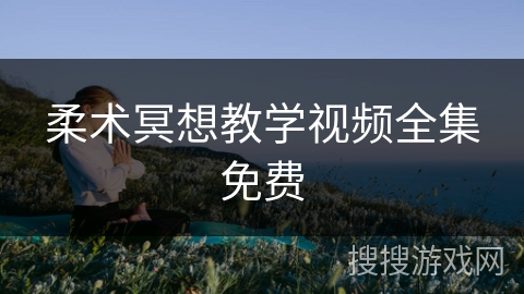 柔术冥想教学视频全集免费