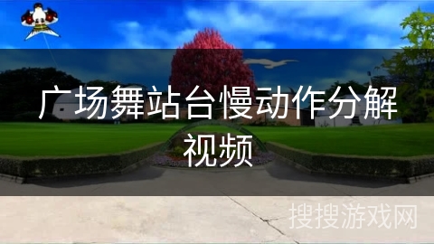 广场舞站台慢动作分解视频