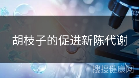 胡枝子的促进新陈代谢