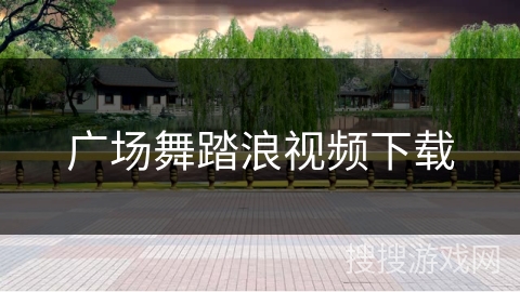 广场舞踏浪视频下载