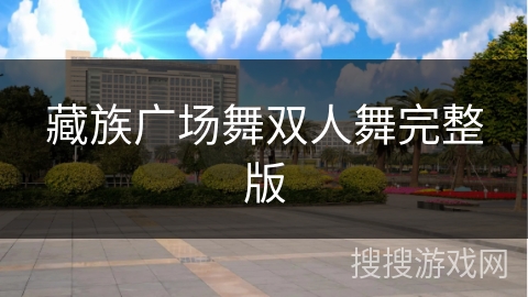 藏族广场舞双人舞完整版 藏族广场舞双人舞完整版
