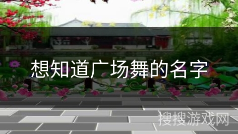 想知道广场舞的名字