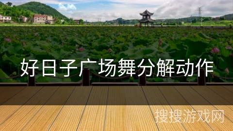 好日子广场舞分解动作 好日子广场舞分解动作