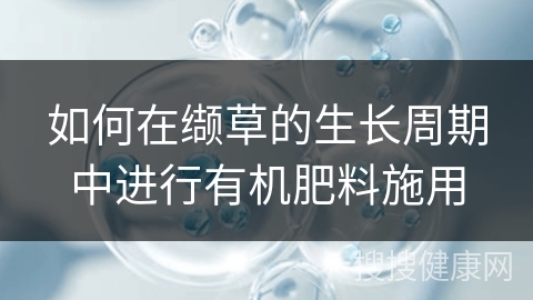 如何在缬草的生长周期中进行有机肥料施用