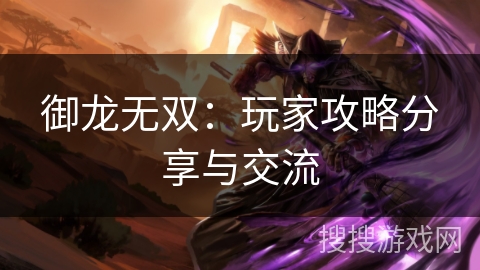 御龙无双：玩家攻略分享与交流