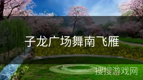 子龙广场舞南飞雁