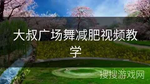 大叔广场舞减肥视频教学