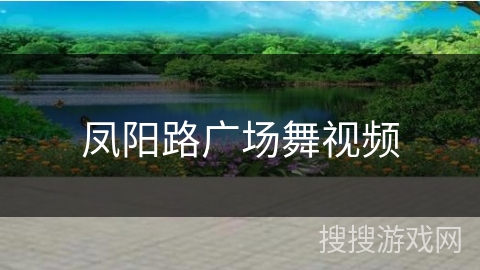 凤阳路广场舞视频