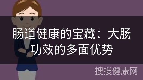 肠道健康的宝藏：大肠功效的多面优势