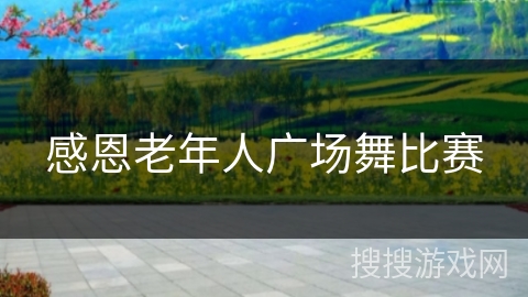 感恩老年人广场舞比赛