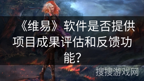 《维易》软件是否提供项目成果评估和反馈功能？
