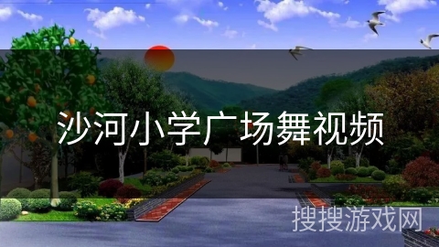 沙河小学广场舞视频