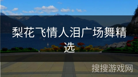 梨花飞情人泪广场舞精选