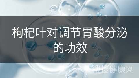 枸杞叶对调节胃酸分泌的功效