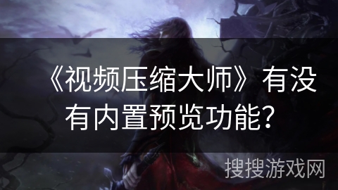 《视频压缩大师》有没有内置预览功能？