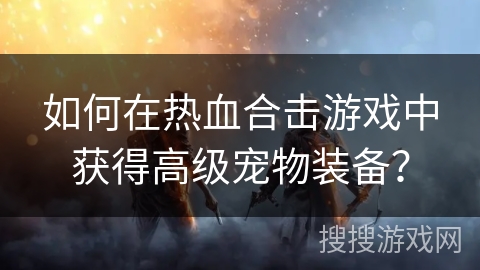 如何在热血合击游戏中获得高级宠物装备？