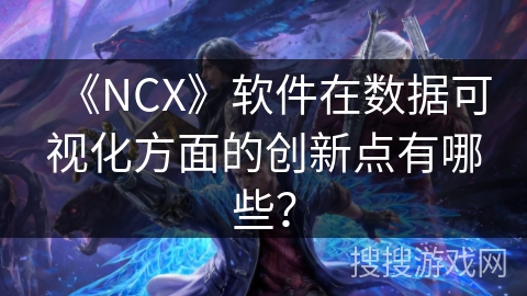 《NCX》软件在数据可视化方面的创新点有哪些？