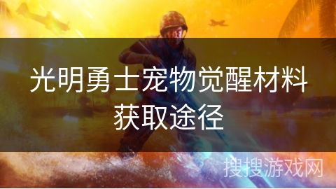 光明勇士宠物觉醒材料获取途径