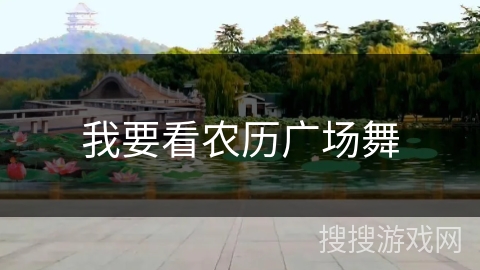 我要看农历广场舞
