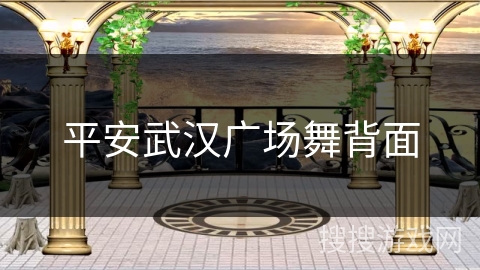 平安武汉广场舞背面