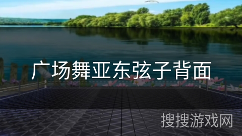 广场舞亚东弦子背面