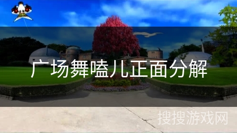 广场舞嗑儿正面分解