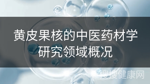 黄皮果核的中医药材学研究领域概况