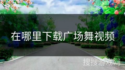 在哪里下载广场舞视频
