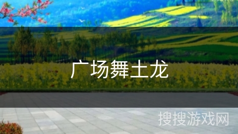 广场舞土龙