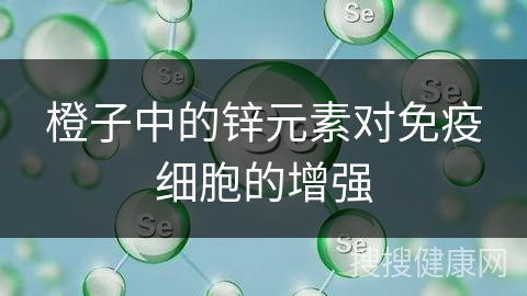 橙子中的锌元素对免疫细胞的增强