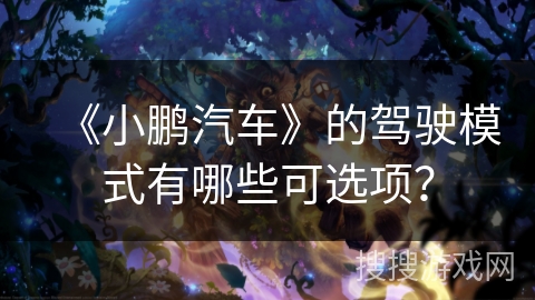 《小鹏汽车》的驾驶模式有哪些可选项？