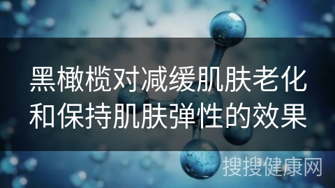 黑橄榄对减缓肌肤老化和保持肌肤弹性的效果