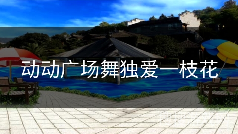 动动广场舞独爱一枝花