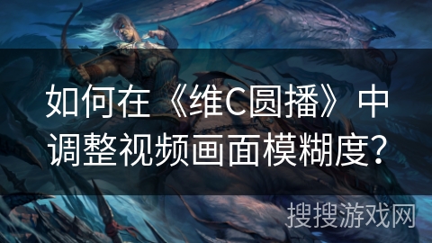 如何在《维C圆播》中调整视频画面模糊度？