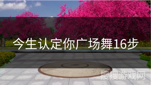 今生认定你广场舞16步