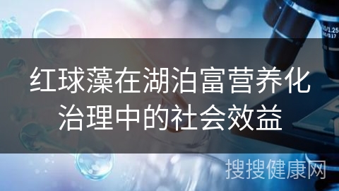 红球藻在湖泊富营养化治理中的社会效益