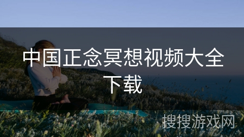 中国正念冥想视频大全下载