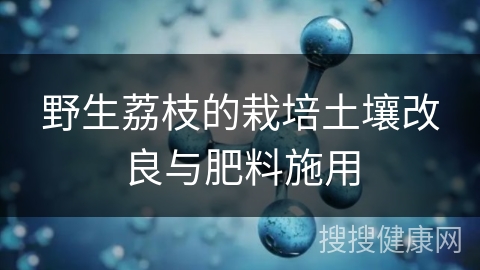 野生荔枝的栽培土壤改良与肥料施用