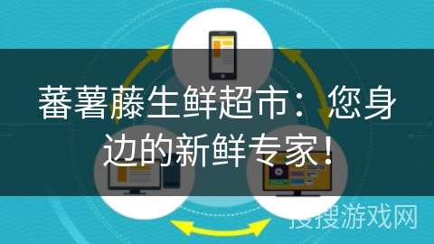蕃薯藤生鲜超市：您身边的新鲜专家！