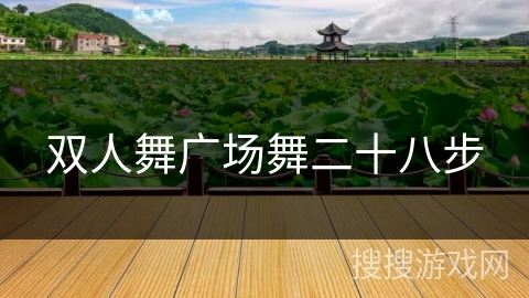 双人舞广场舞二十八步