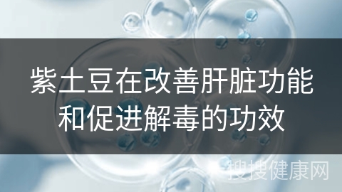 紫土豆在改善肝脏功能和促进解毒的功效