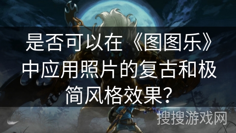 是否可以在《图图乐》中应用照片的复古和极简风格效果？