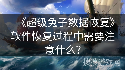 《超级兔子数据恢复》软件恢复过程中需要注意什么? 《超级兔子数据恢复》软件恢复过程中需要注意什么?