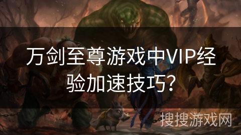 万剑至尊游戏中VIP经验加速技巧？