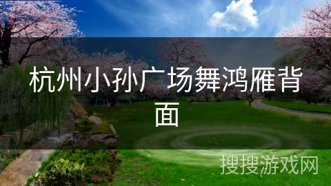 杭州小孙广场舞鸿雁背面