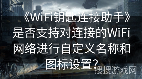 《WiFi钥匙连接助手》是否支持对连接的WiFi网络进行自定义名称和图标设置？